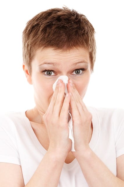 sneezing - Maid Services to Kernersville, Greensboro and surrounding areas